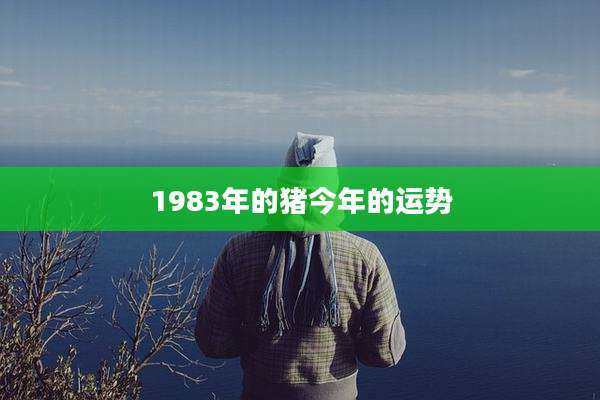 1983年的猪今年的运势