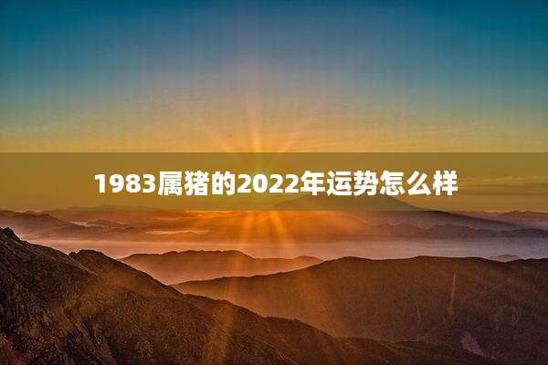 1983属猪的2022年运势怎么样