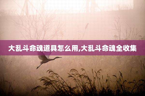 大乱斗命魂道具怎么用,大乱斗命魂全收集