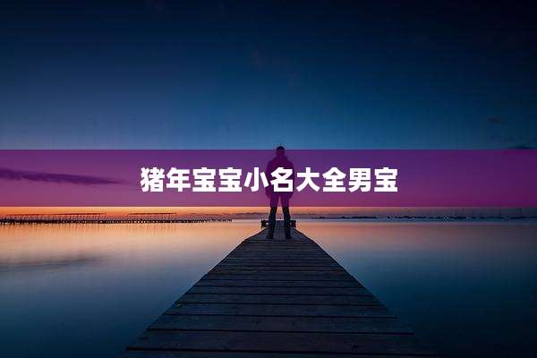 猪年宝宝小名大全男宝