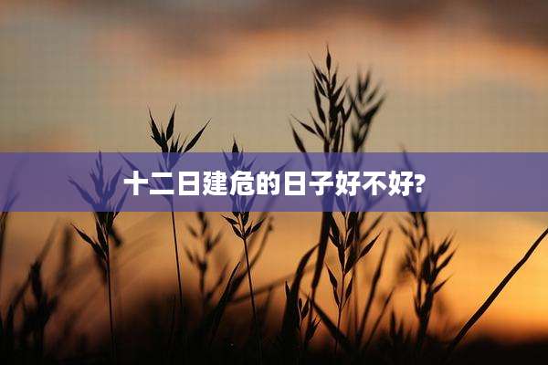 十二日建危的日子好不好?