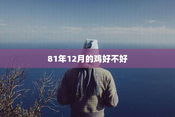 81年12月的鸡好不好