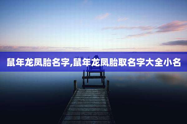 鼠年龙凤胎名字,鼠年龙凤胎取名字大全小名