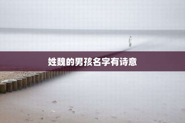 姓魏的男孩名字有诗意