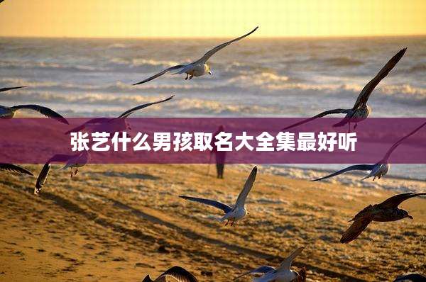 张艺什么男孩取名大全集最好听
