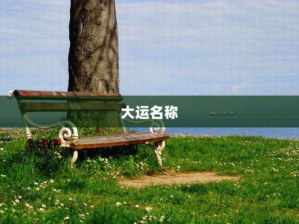 大运名称