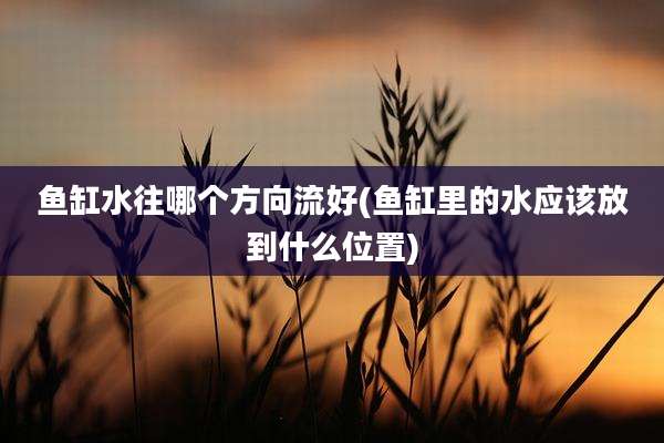 鱼缸水往哪个方向流好(鱼缸里的水应该放到什么位置)
