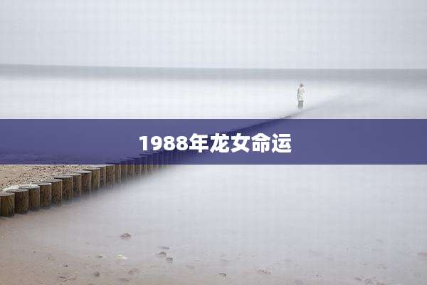 1988年龙女命运