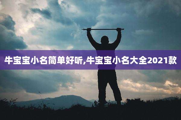 牛宝宝小名简单好听,牛宝宝小名大全2021款
