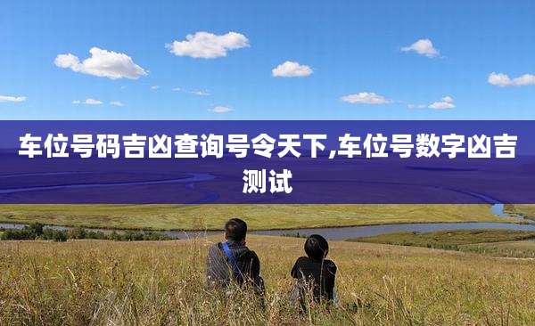 车位号码吉凶查询号令天下,车位号数字凶吉测试