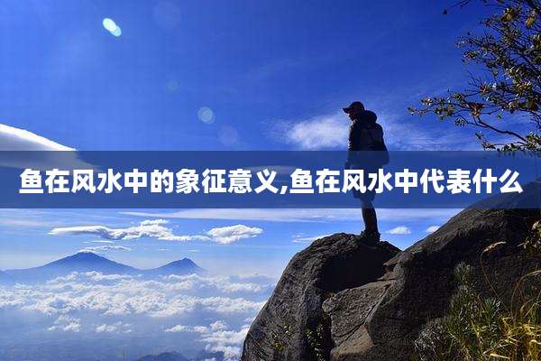 鱼在风水中的象征意义,鱼在风水中代表什么