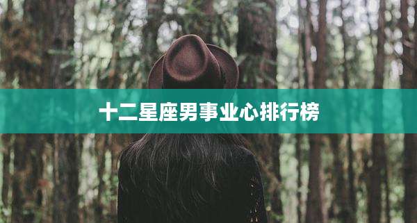 十二星座男事业心排行榜
