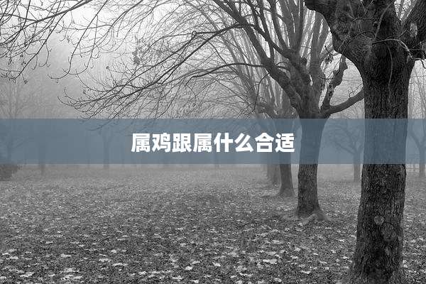 属鸡跟属什么合适