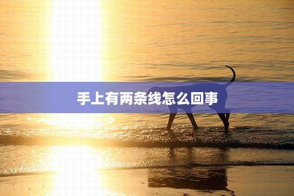 手上有两条线怎么回事