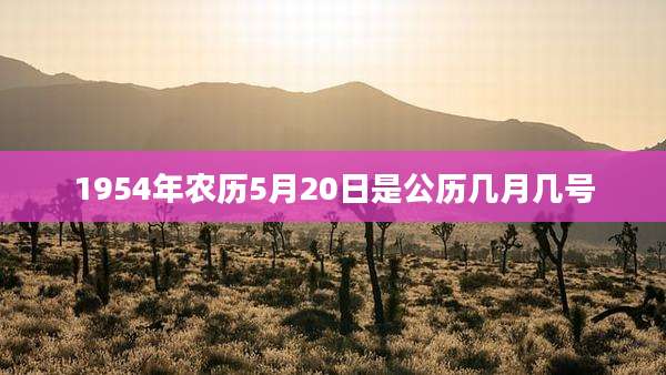 1954年农历5月20日是公历几月几号