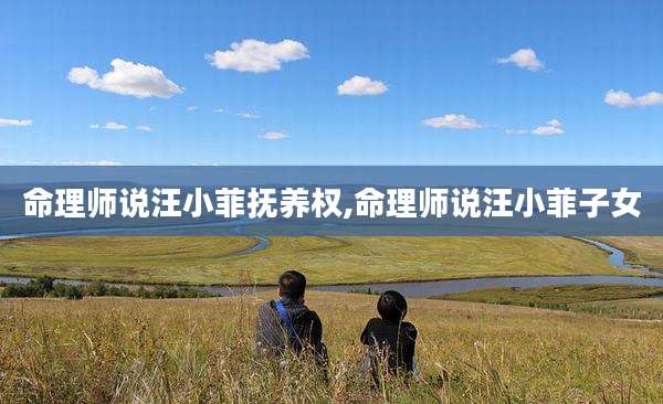 命理师说汪小菲抚养权,命理师说汪小菲子女