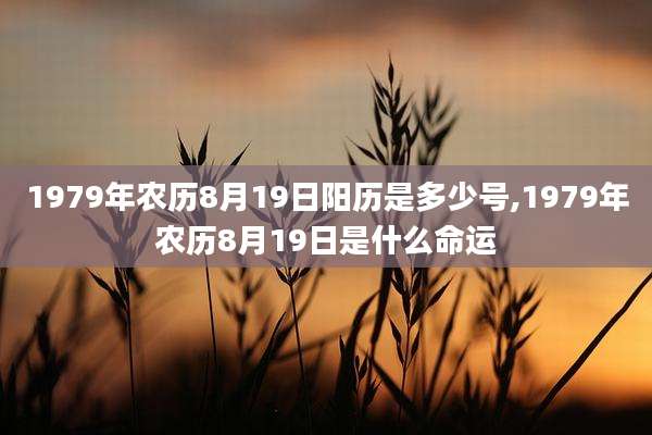 1979年农历8月19日阳历是多少号,1979年农历8月19日是什么命运