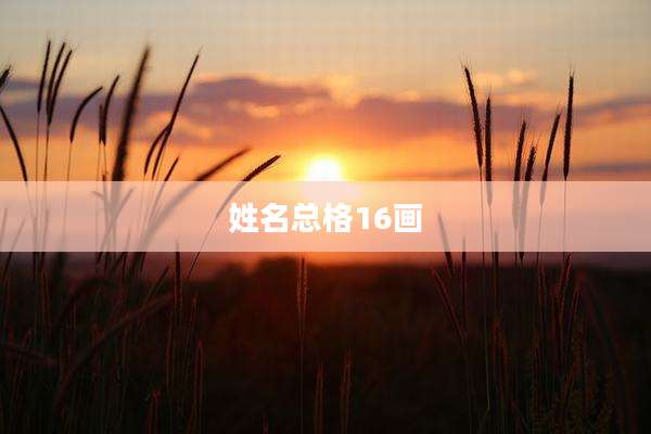 姓名总格16画
