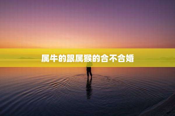 属牛的跟属猴的合不合婚