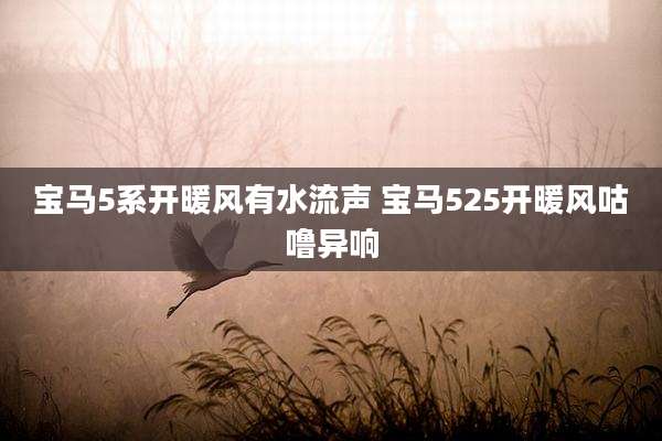 宝马5系开暖风有水流声 宝马525开暖风咕噜异响
