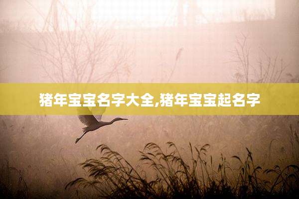 猪年宝宝名字大全,猪年宝宝起名字