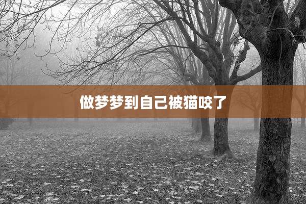做梦梦到自己被猫咬了
