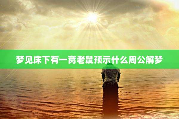 梦见床下有一窝老鼠预示什么周公解梦