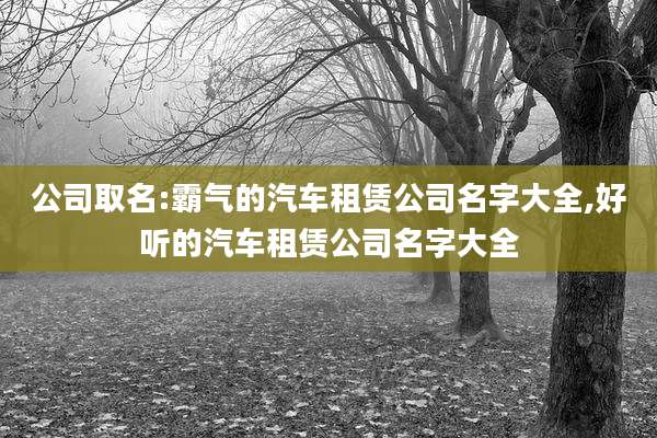 公司取名:霸气的汽车租赁公司名字大全,好听的汽车租赁公司名字大全