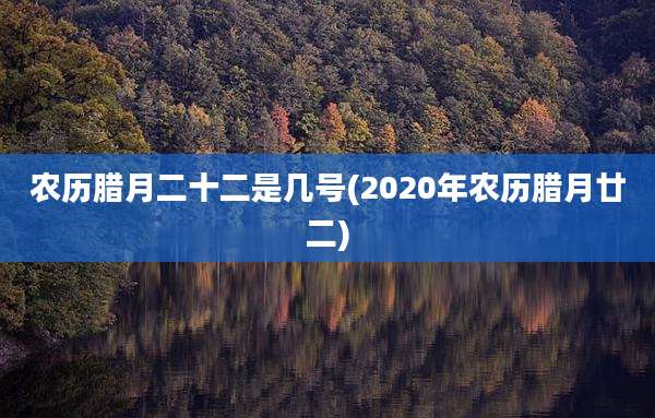 农历腊月二十二是几号(2020年农历腊月廿二)