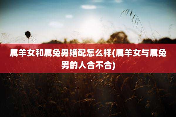 属羊女和属兔男婚配怎么样(属羊女与属兔男的人合不合)