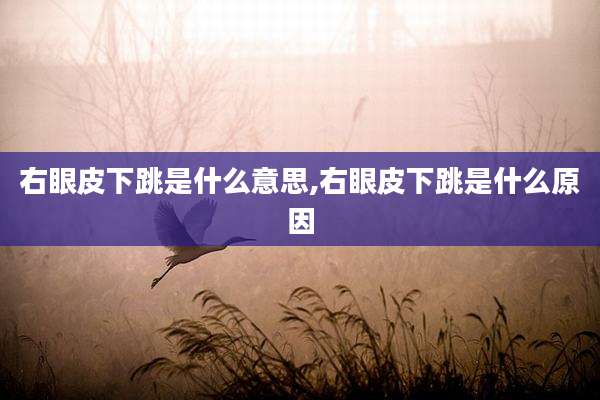 右眼皮下跳是什么意思,右眼皮下跳是什么原因