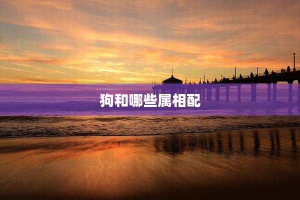 狗和哪些属相配