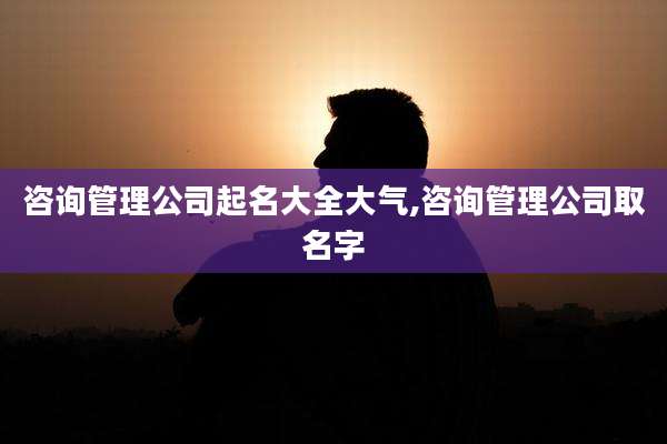 咨询管理公司起名大全大气,咨询管理公司取名字