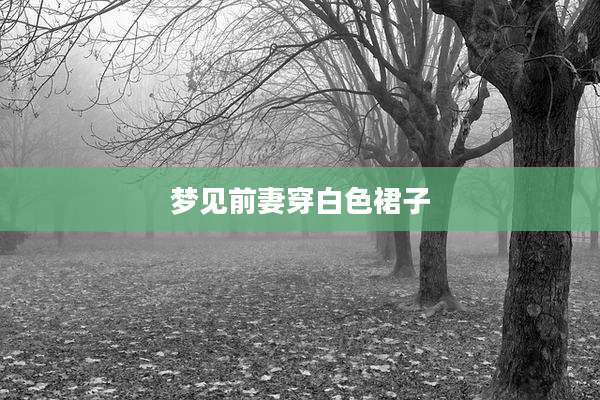 梦见前妻穿白色裙子