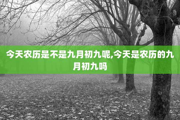 今天农历是不是九月初九呢,今天是农历的九月初九吗