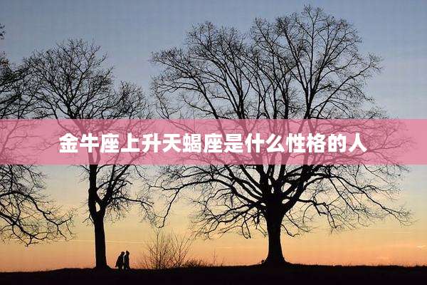 金牛座上升天蝎座是什么性格的人