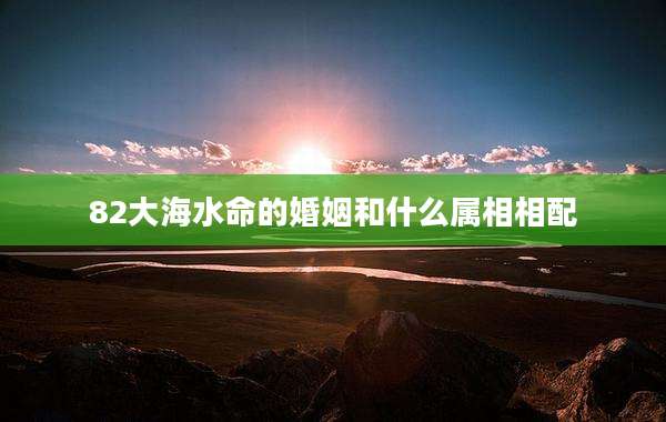 82大海水命的婚姻和什么属相相配