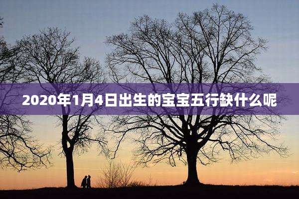 2020年1月4日出生的宝宝五行缺什么呢