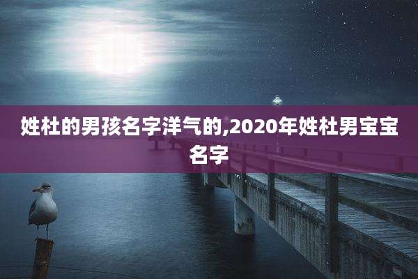 姓杜的男孩名字洋气的,2020年姓杜男宝宝名字