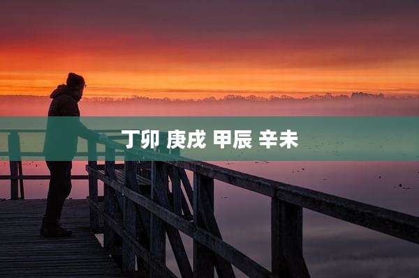 丁卯 庚戌 甲辰 辛未