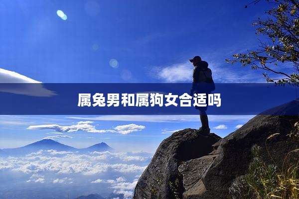 属兔男和属狗女合适吗