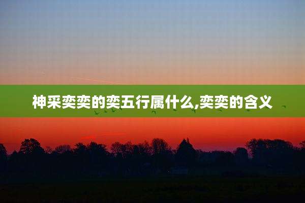 神采奕奕的奕五行属什么,奕奕的含义
