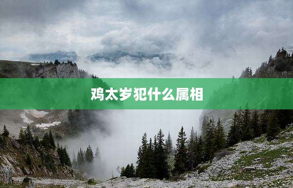 鸡太岁犯什么属相