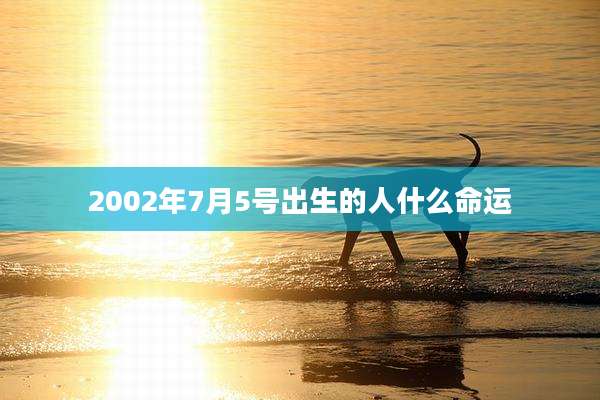 2002年7月5号出生的人什么命运