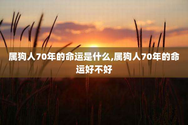 属狗人70年的命运是什么,属狗人70年的命运好不好