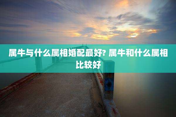 属牛与什么属相婚配最好? 属牛和什么属相比较好