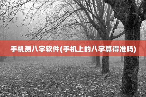 手机测八字软件(手机上的八字算得准吗)