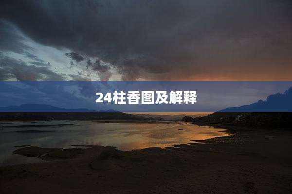24柱香图及解释