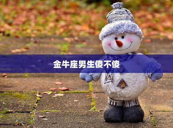 金牛座男生傻不傻