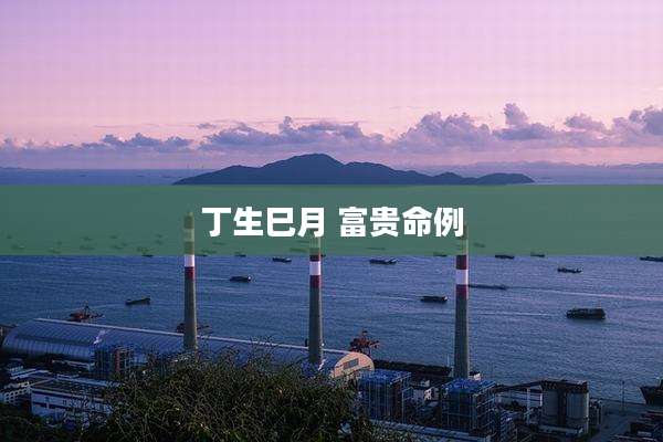 丁生巳月 富贵命例